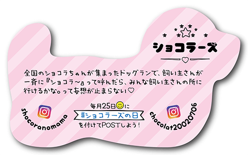 型抜きペット名刺の裏面画像