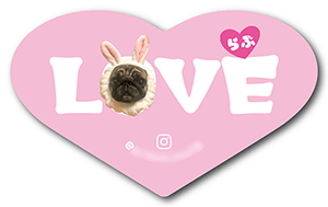 犬のペット名刺