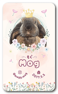 犬のペット名刺