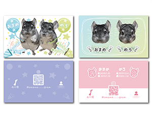 チンチラ2種類のペット名刺