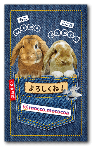 ペット名刺の表面画像