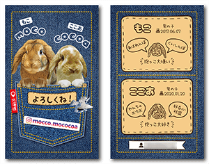 うさぎ（多頭飼い）のペット名刺