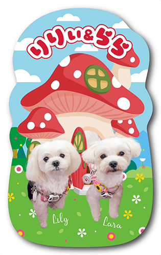 ペット名刺の表面画像