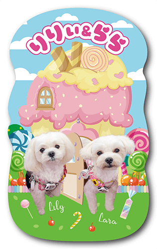 ペット名刺の表面画像