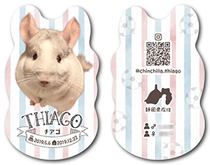 チンチラのペット名刺