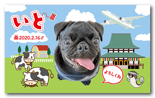 長方形ペット名刺の表面画像