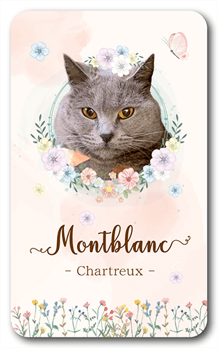 長方形ペット名刺の表面画像