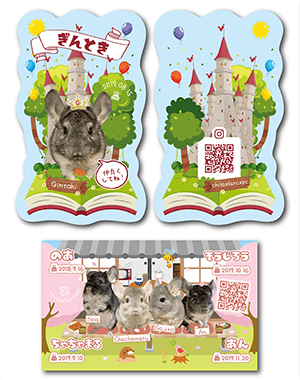 チンチラ（多頭飼い）のペット名刺