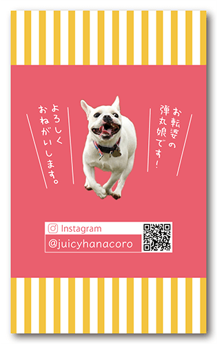 長方形ペット名刺の裏面画像