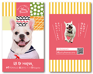犬のペット名刺