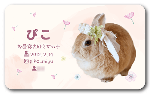 長方形ペット名刺の表面画像