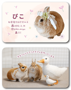うさぎのペット名刺