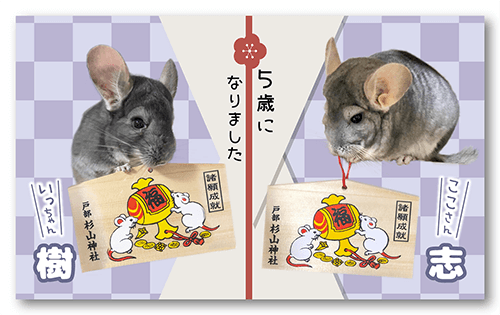 長方形ペット名刺の表面画像