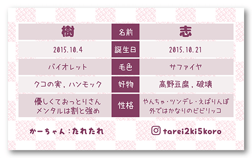 長方形ペット名刺の裏面画像