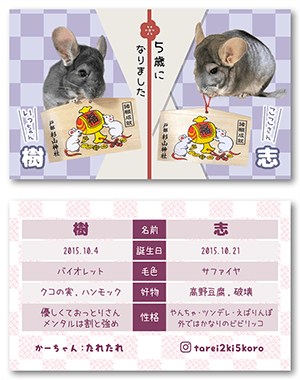 チンチラのペット名刺
