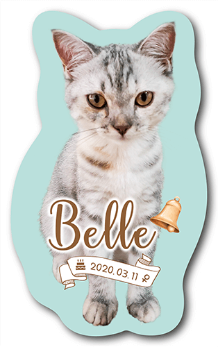 型抜きペット名刺の表面画像