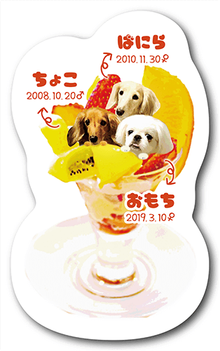 型抜きペット名刺の表面画像