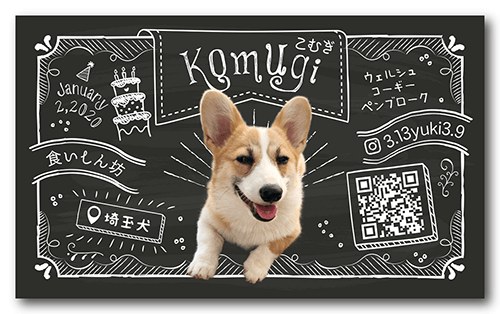 長方形ペット名刺の表面画像
