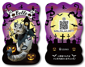 猫のペット名刺