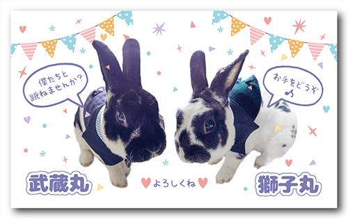 長方形ペット名刺の表面画像