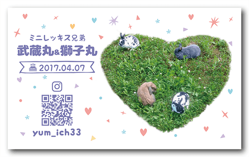 長方形ペット名刺の裏面画像