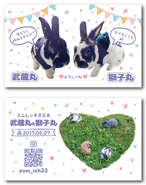 うさぎ（多頭飼い）のペット名刺