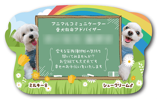 型抜きペット名刺の表面画像
