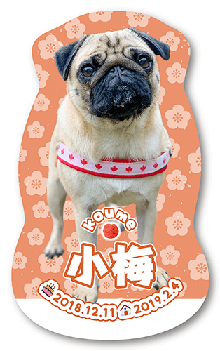 型抜きペット名刺の表面画像