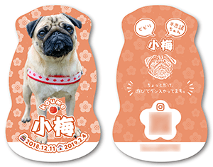 犬のペット名刺