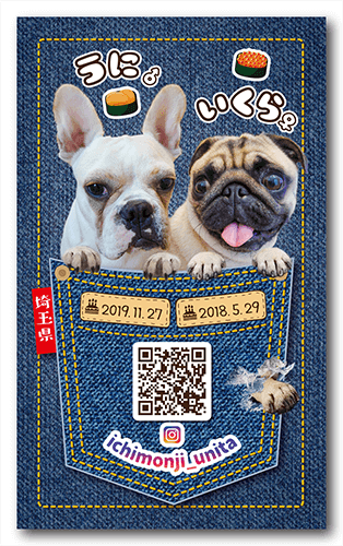 長方形ペット名刺画像