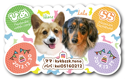 型抜きペット名刺の表面画像