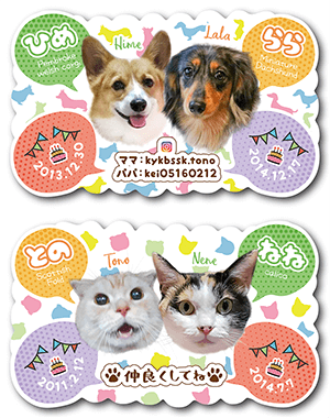 犬と猫（多頭飼い）のペット名刺