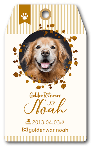 型抜きペット名刺画像