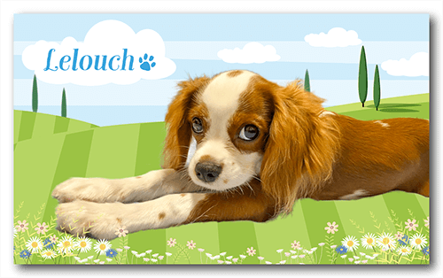 長方形ペット名刺の表面画像