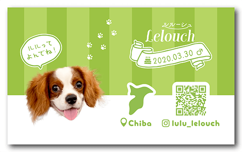 長方形ペット名刺の裏面画像