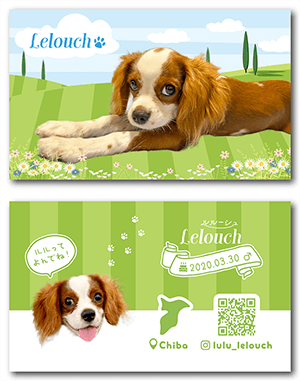 犬のペット名刺