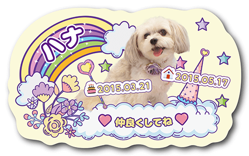 型抜きペット名刺の表面画像