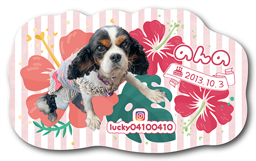 型抜きペット名刺の表面画像