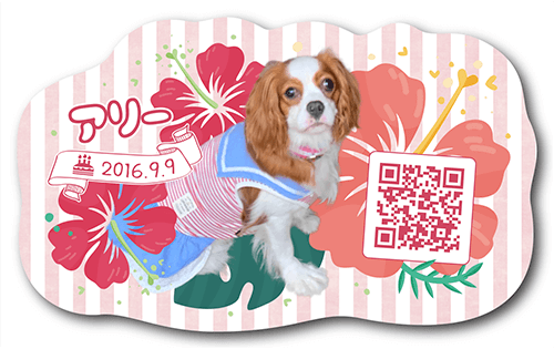 型抜きペット名刺の裏面画像