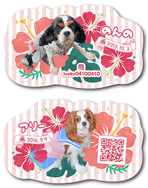 犬（多頭飼い）のペット名刺