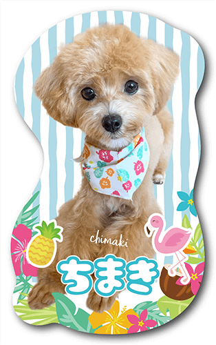 型抜きペット名刺の表面画像