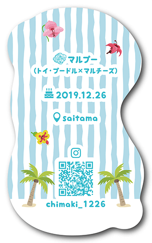 型抜きペット名刺の裏面画像