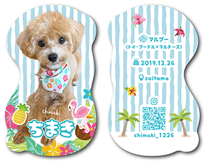 犬のペット名刺