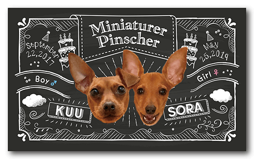 長方形ペット名刺の表面画像