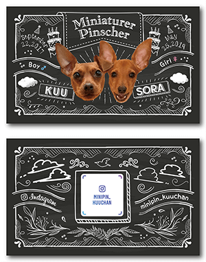 犬のペット名刺