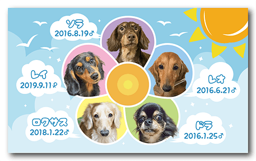 型抜きペット名刺の表面画像