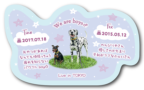 型抜きペット名刺の裏面画像