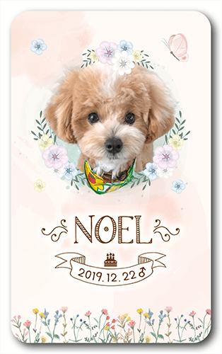 長方形ペット名刺の表面画像