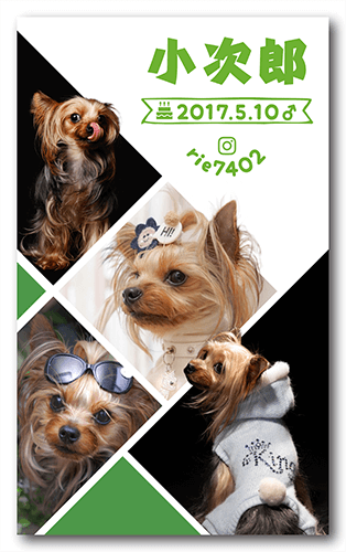 ペット名刺の表面画像