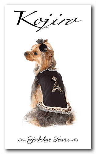 ペット名刺の裏面画像